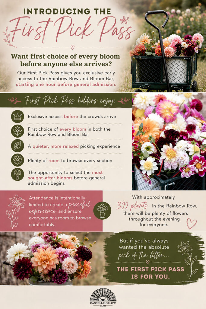 Vertical informational graphic promoting the First Pick Pass at Cassell Hollow Farm, highlighting exclusive early access to the Rainbow Row and Bloom Bar with photos of blooming dahlias and fresh-cut flower carts.