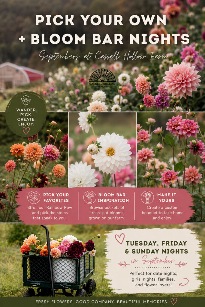 Vertical Pinterest graphic promoting Pick Your Own + Bloom Bar Nights at Cassell Hollow Farm, featuring a collage of dahlia field photos, fresh-cut flower carts, and event details for September flower picking experiences.